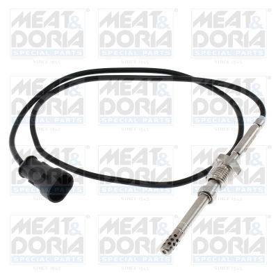 Sensor, exhaust gas temperature